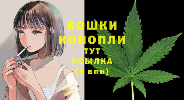 прущий лед Болхов